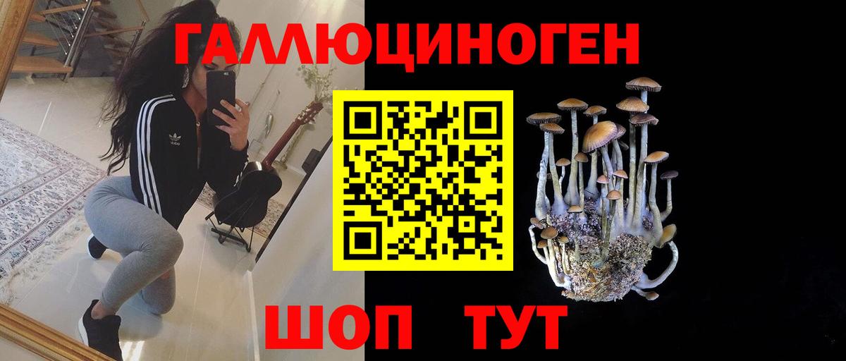 Галлюциногенные грибы GOLDEN TEACHER  Галлюциногенные грибы Magic Shrooms  Вход с VPN  Саяногорск 